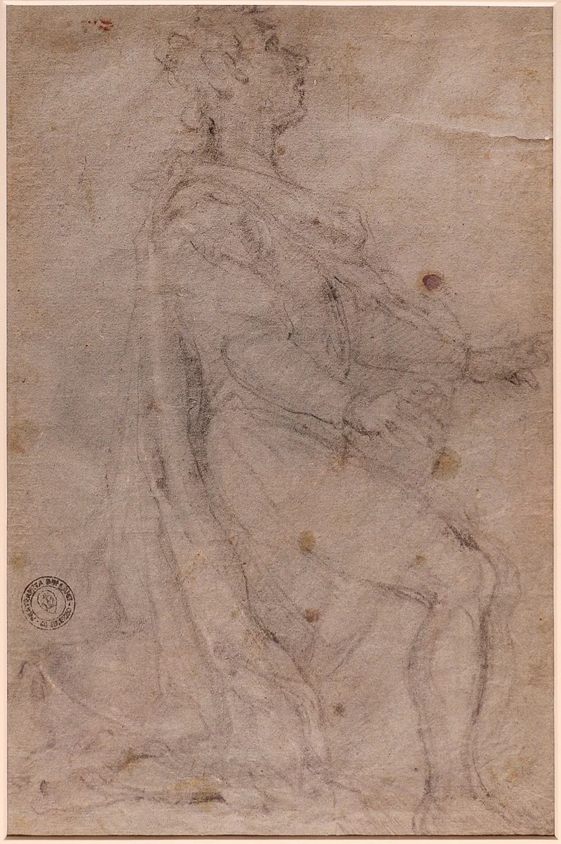 Studio per figura virile inginocchiata - Palazzo della Fraternità dei laici, Arezzo